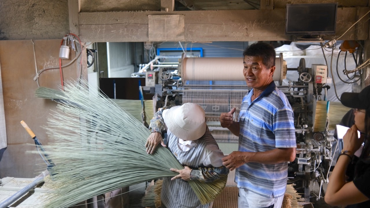 榻榻米需要把不合規的藺草挑除後再進行編織，過程是手工進行。大家快來體驗熊本深度旅遊。