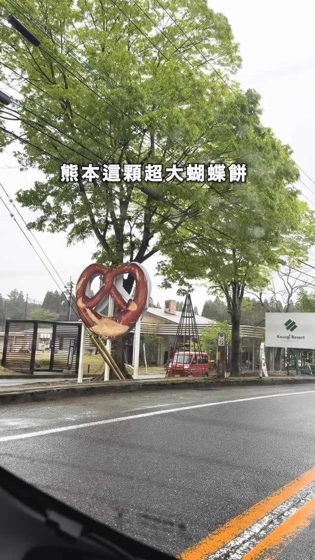 🥳從此多一個節日要記住了—4月26日世界椒鹽捲餅日🥨起源不明，但我知道，有藉口嚐嚐最愛的椒鹽餅了😍

熊本的 @kosugi.resort_aso 把節日辦成了祭典！
市區往阿蘇的路上，路口巨大的蝴蝶餅裝置無法忽視它的存在👀

🥨非活動期間，也可以在這品嚐熊本在地麵粉做的原味椒鹽餅
🥨活動日口味多達14種，鹹甜都有，還有餐車市集

今天吃的檸檬白巧克力椒鹽餅，紮實的檸檬味，酸得我眼皮微微皺，嘴又停不下來，一下就吃光光😋

＼ 儲存貼文才不會忘記日期🤍／
不管你在哪裡，4/26就是要吃椒鹽餅！
住在熊本附近的更有藉口品嚐美味囉😗

📷✨ @rabbi_owo 

#pretzelday #九州旅遊 #熊本旅遊 #蝴蝶餅